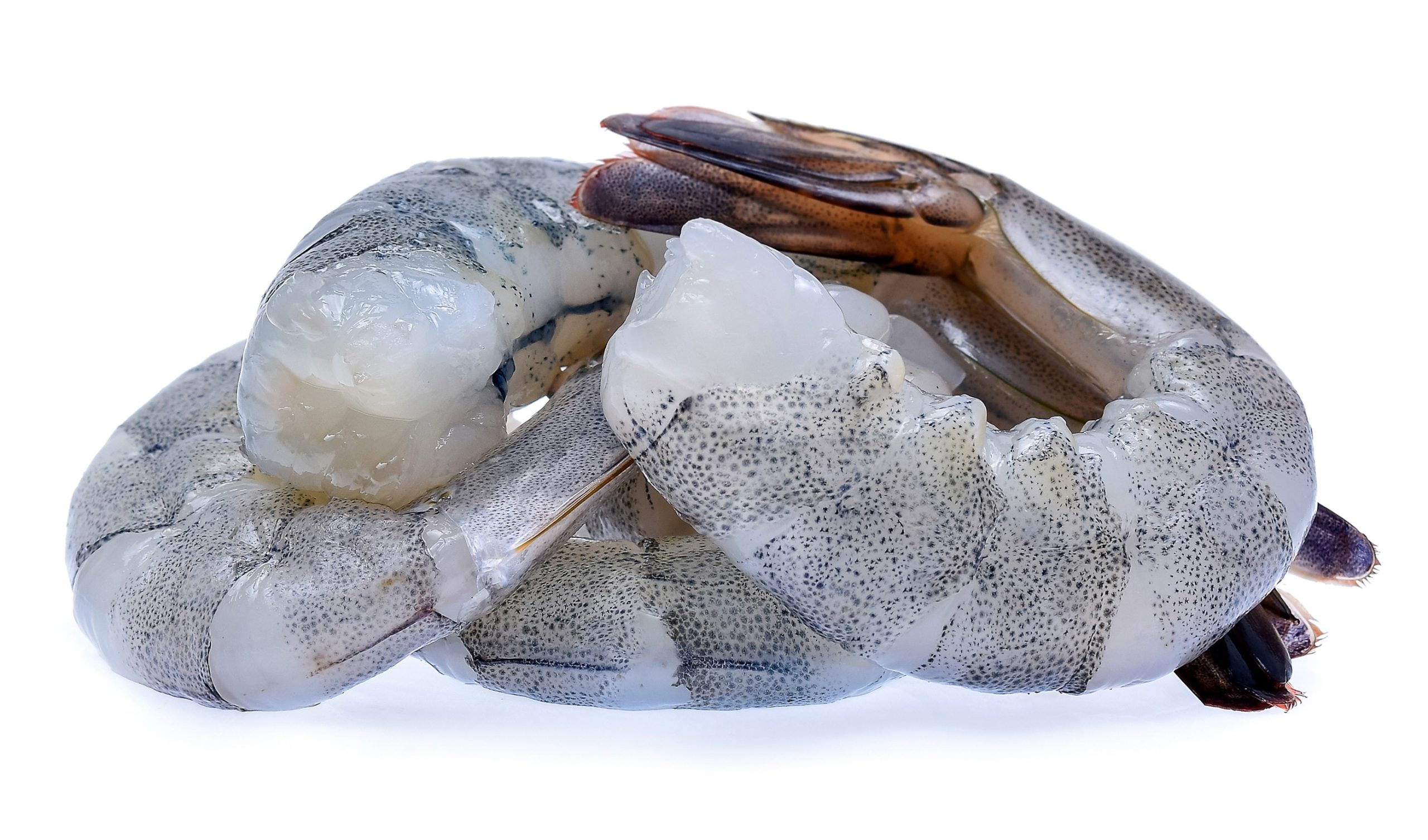 close up of raw shrimp headless with tails